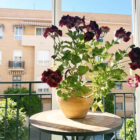 El Balcon De La Luz * Seville