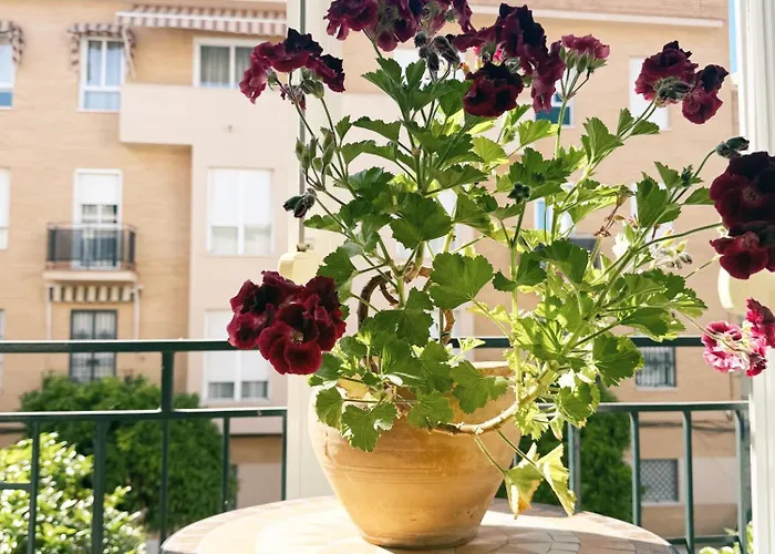 El Balcon De La Luz * Sevilla